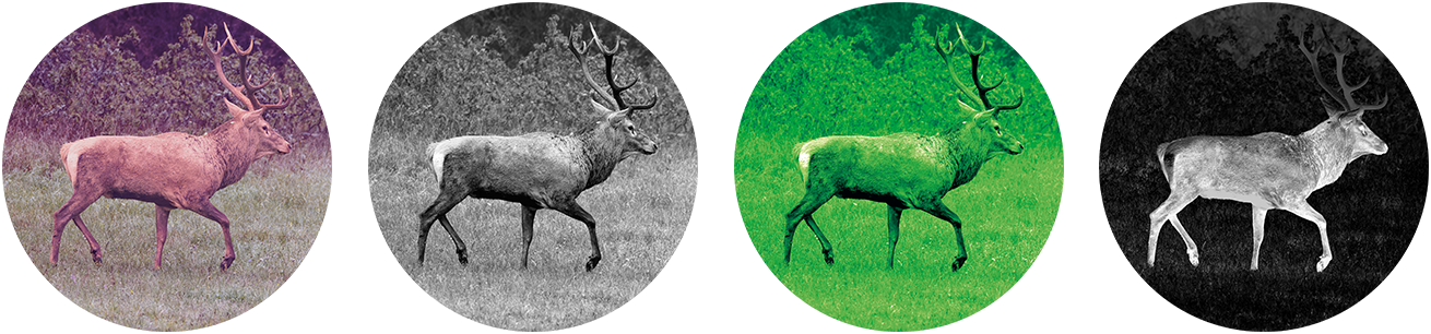 Pulsar SYMBION LRF DXT50